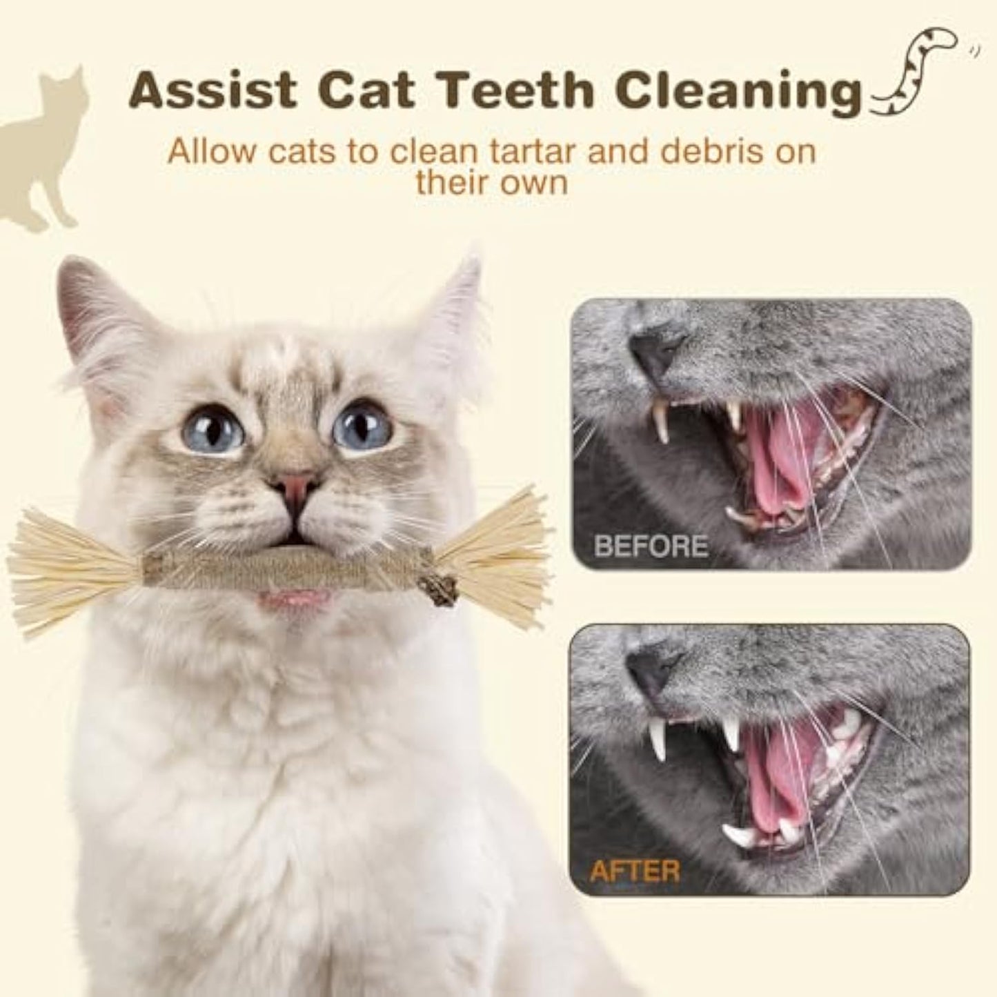 Dental Bite,Silvervine Natural Cats Toys