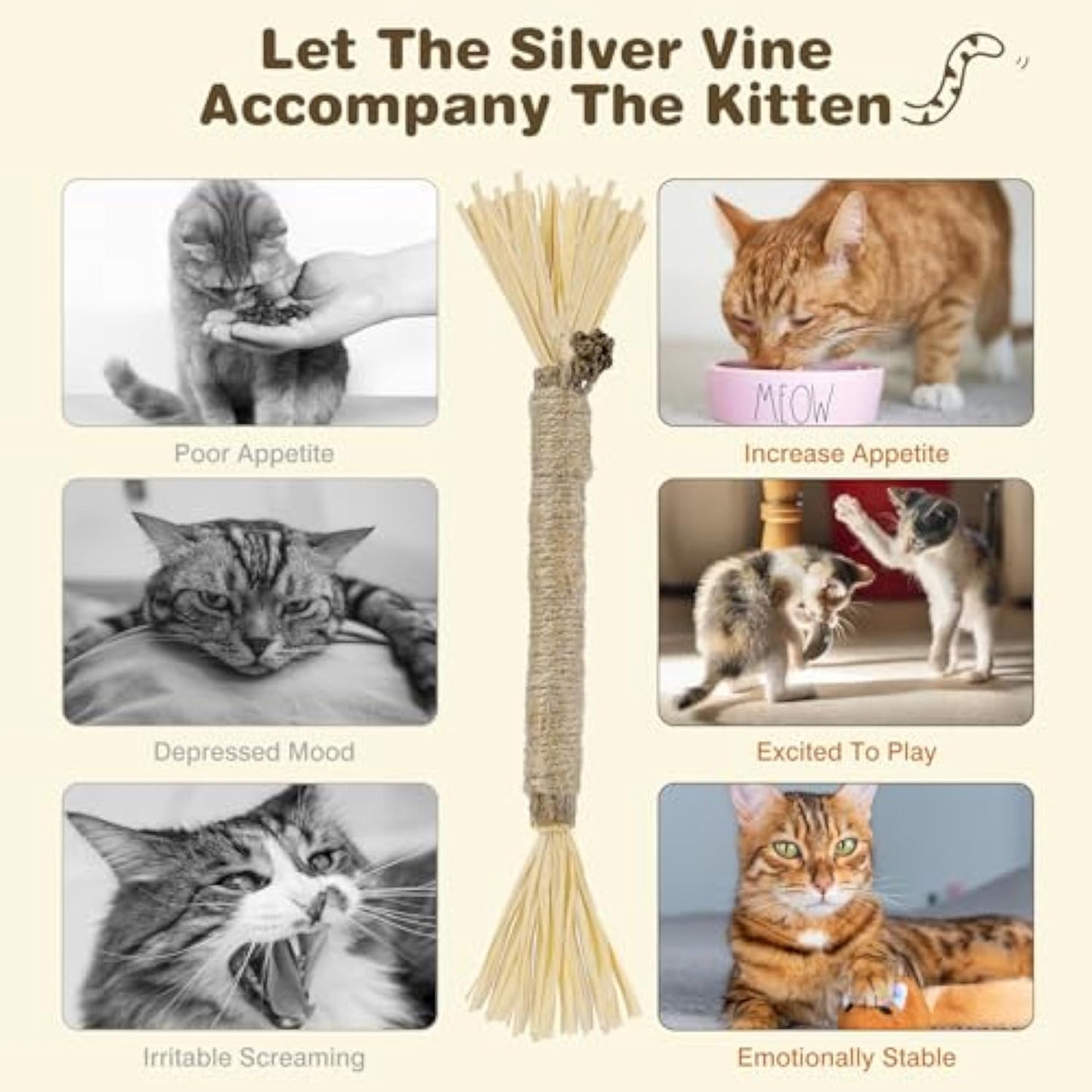 Dental Bite,Silvervine Natural Cats Toys